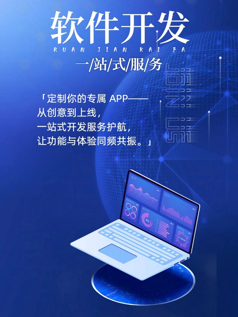 软件定制开发:构建企业专属数字翅膀
